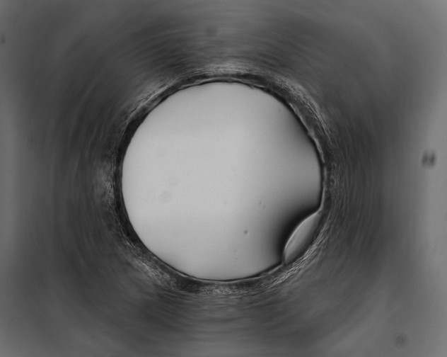 X0000098031217200804251407