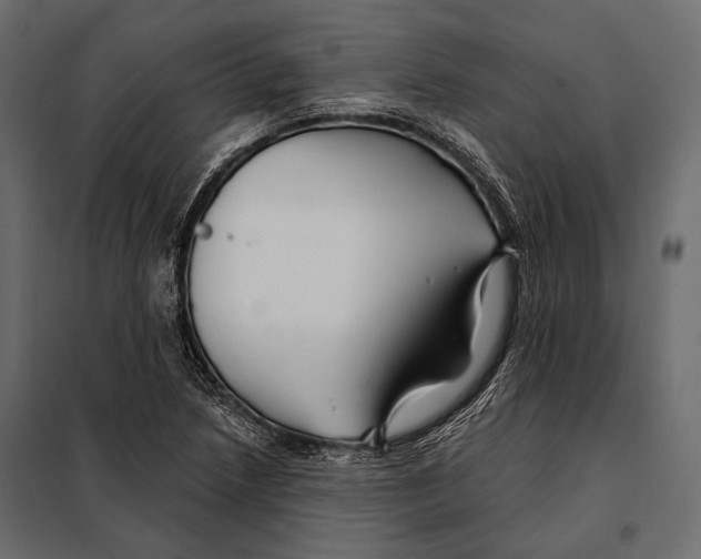 X0000098031218200804251407