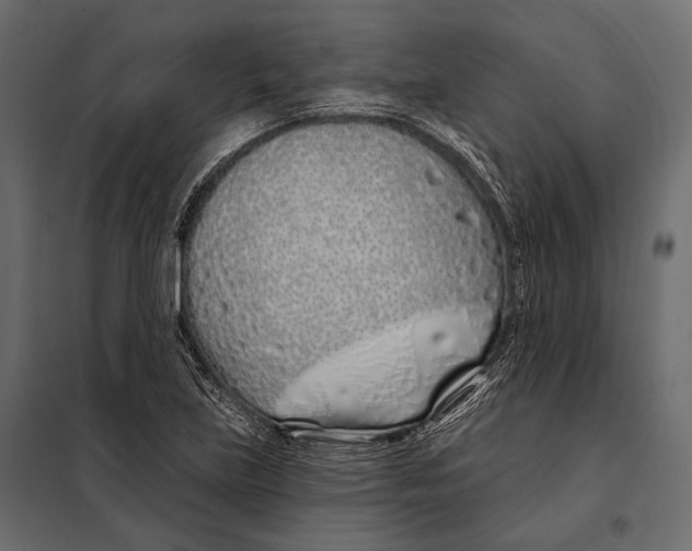 X0000098031219200804251407