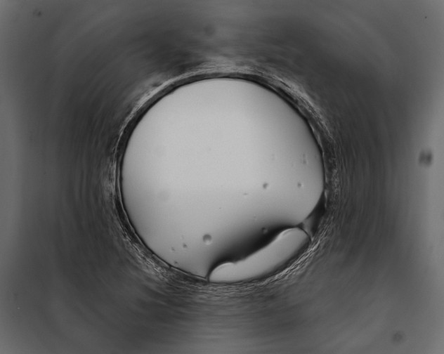 X0000098031220200804251407