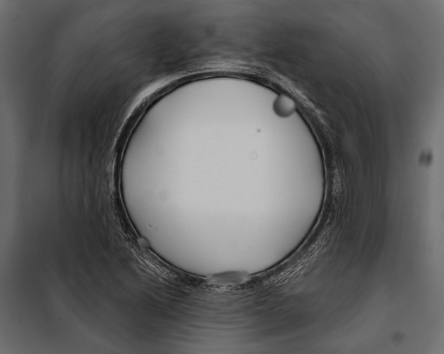 X0000098031222200804251407