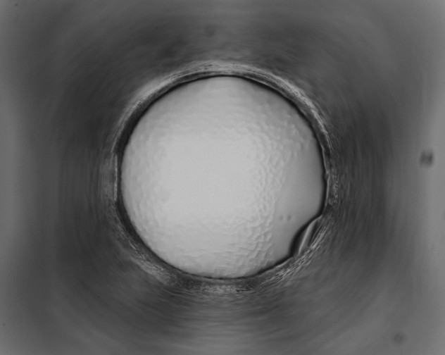 X0000098031223200804251407