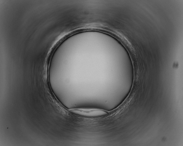 X0000098031224200804251407