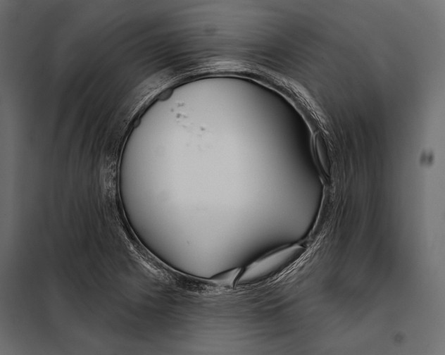 X0000098031225200804251407