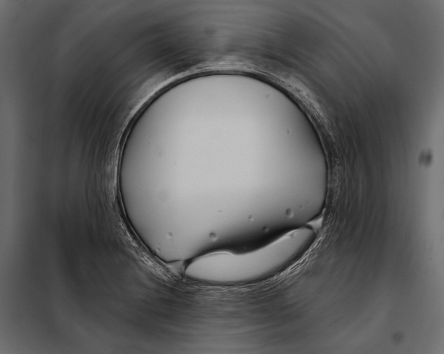 X0000098031228200804251407