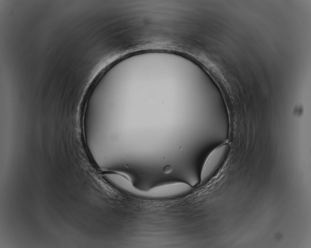 X0000098031230200804251407