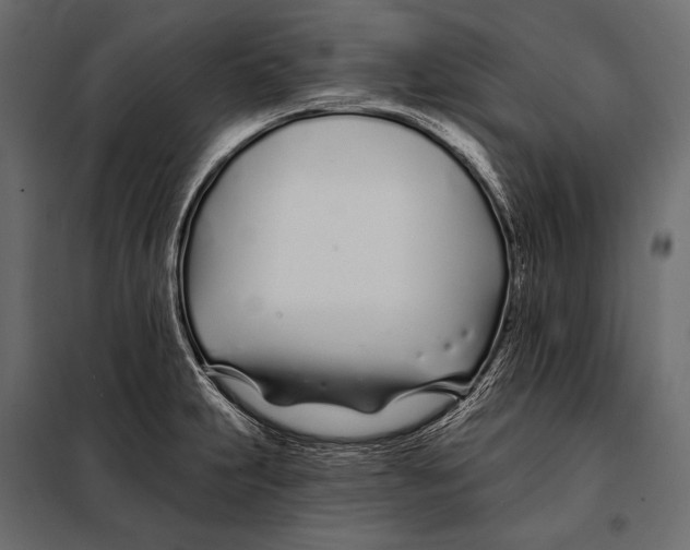 X0000098031231200804251407