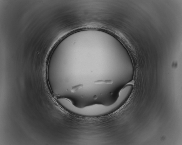 X0000098031232200804251407