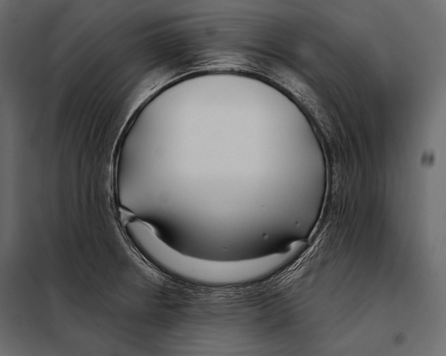 X0000098031234200804251407