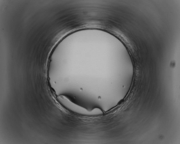 X0000098031236200804251407