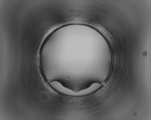 X0000098031238200804251407