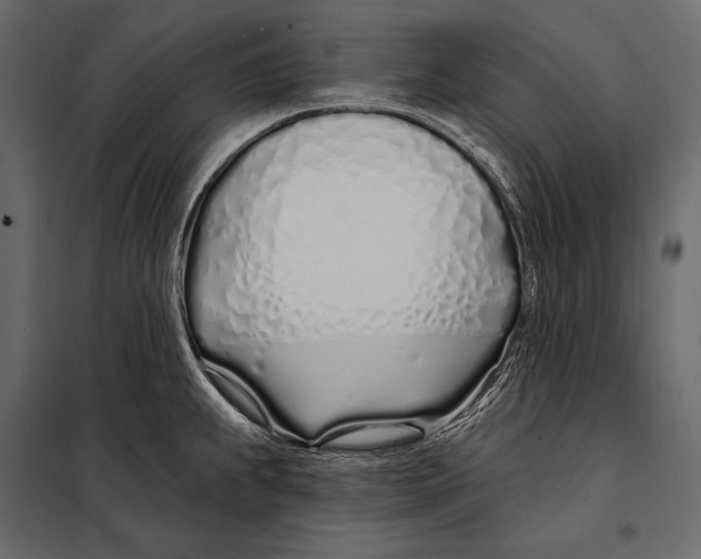 X0000098031239200804251407