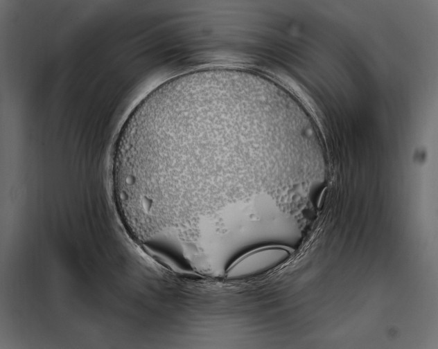 X0000098031243200804251407