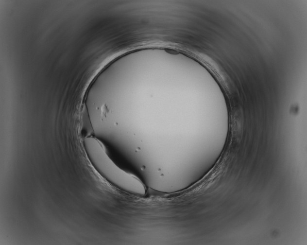 X0000098031244200804251407