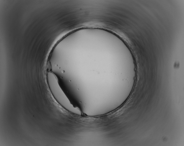 X0000098031248200804251407