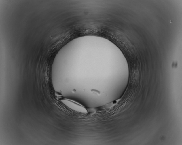 X0000098031250200804251406