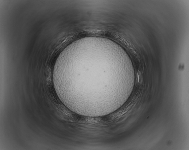 X0000098031251200804251406