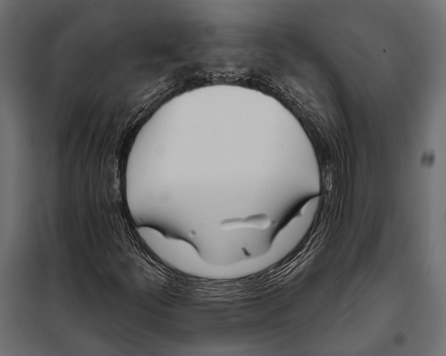 X0000098031252200804251406