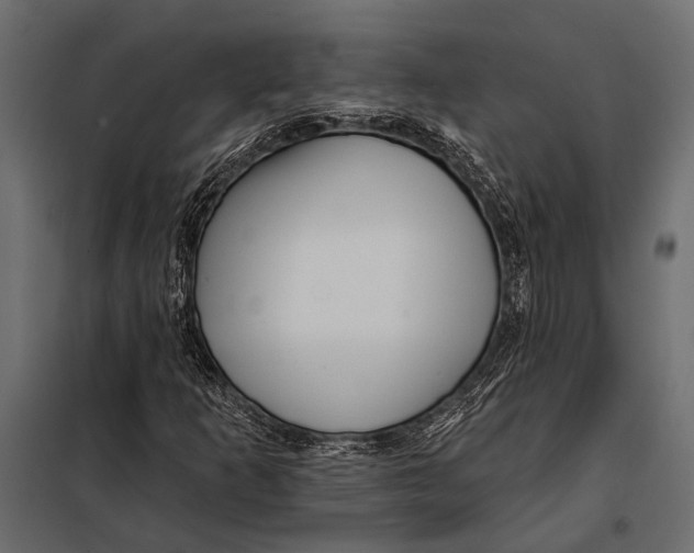 X0000098031253200804251406