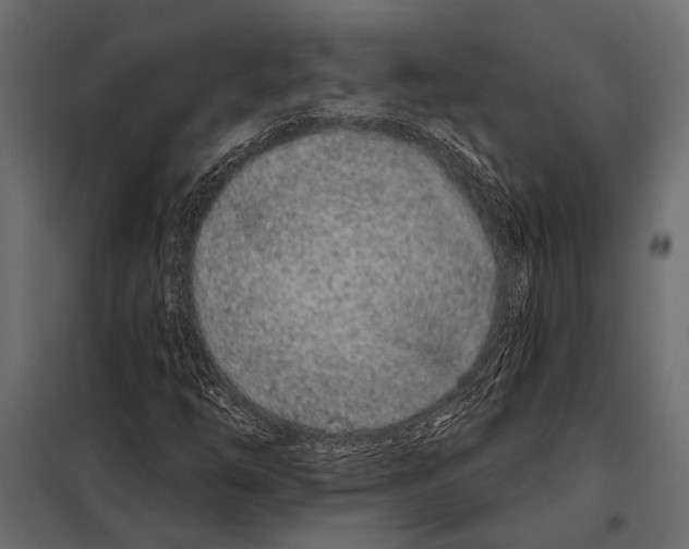 X0000098031254200804251406