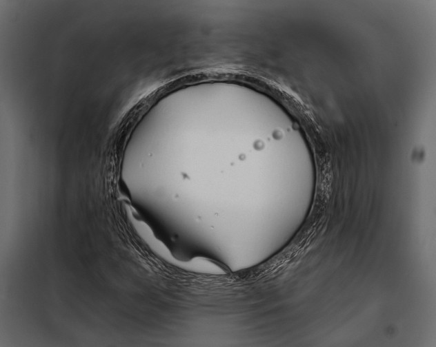 X0000098031255200804251406