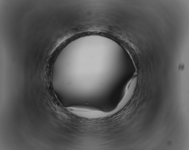 X0000098031256200804251406