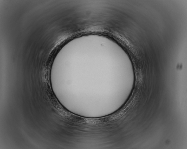 X0000098031258200804251406