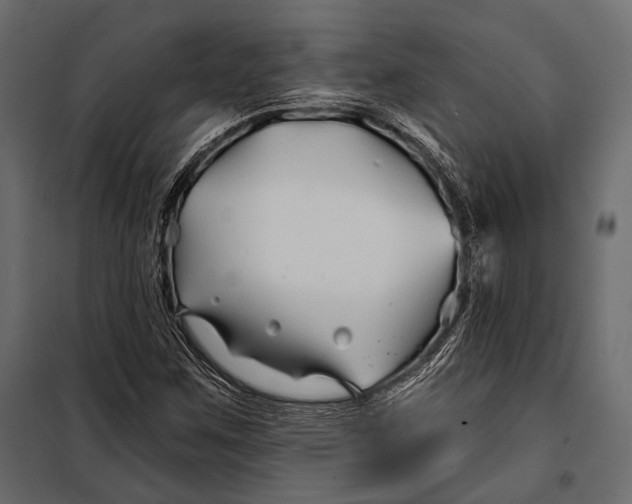 X0000098031259200804251406