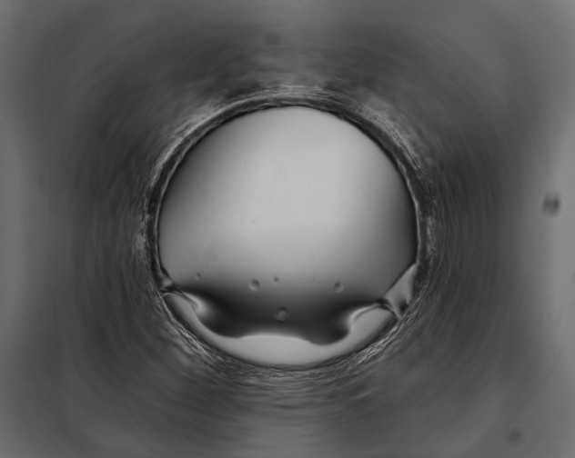 X0000098031260200804251406