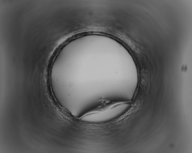 X0000098031264200804251406