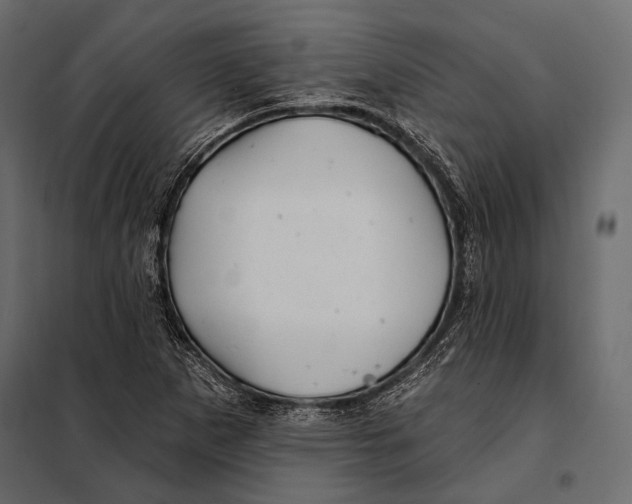 X0000098031265200804251406