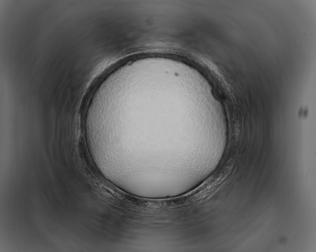 X0000098031267200804251406