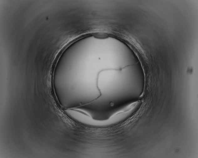 X0000098031268200804251406