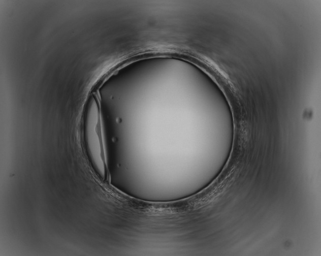 X0000098031269200804251406