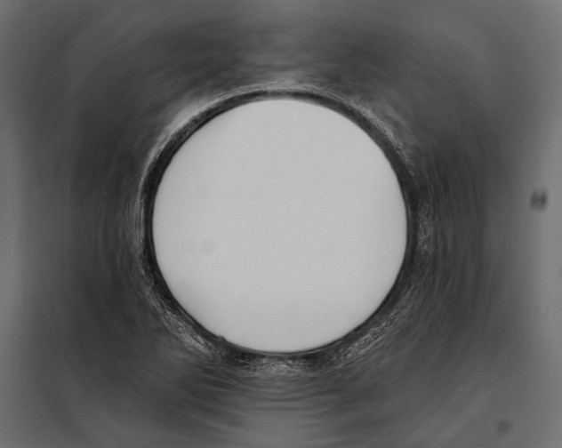 X0000098031270200804251406