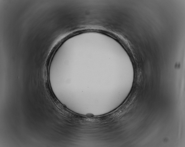 X0000098031271200804251406