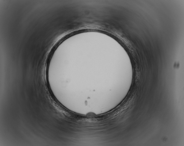 X0000098031272200804251406