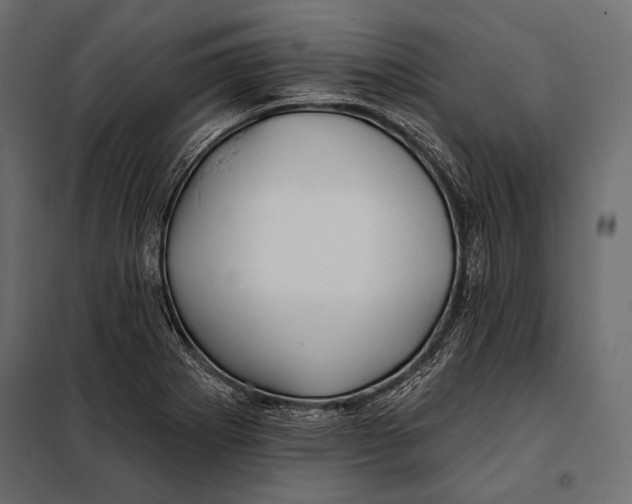 X0000098031273200804251406