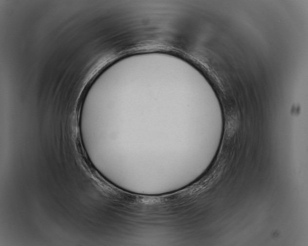 X0000098031274200804251406