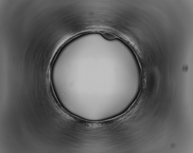 X0000098031275200804251406