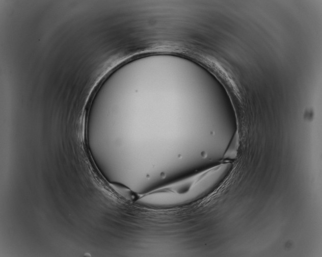 X0000098031276200804251406