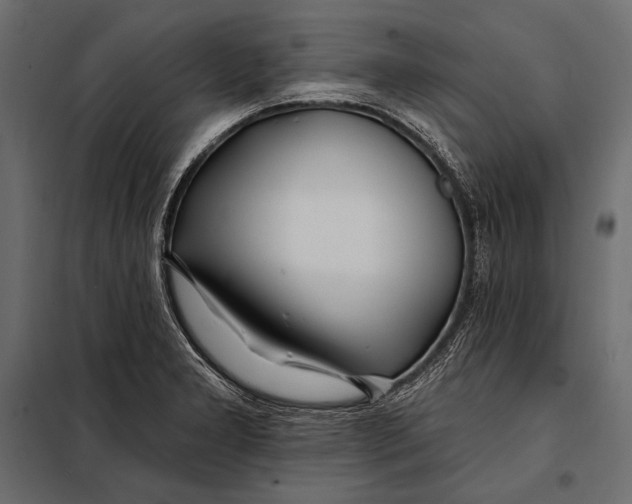 X0000098031277200804251406