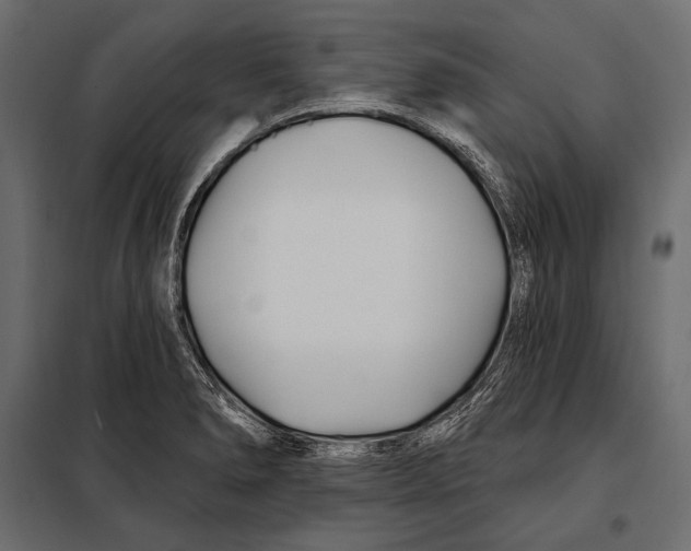 X0000098031278200804251406