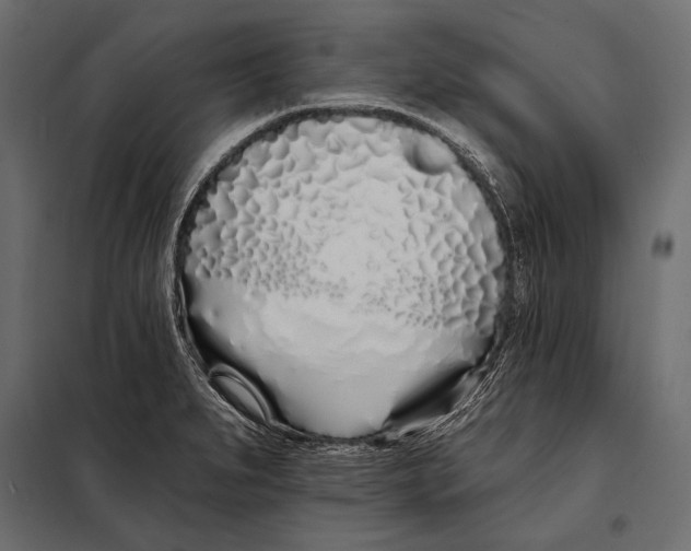 X0000098031279200804251406