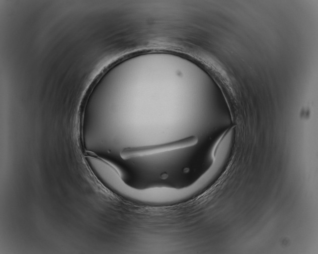 X0000098031280200804251406