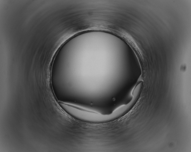 X0000098031284200804251406