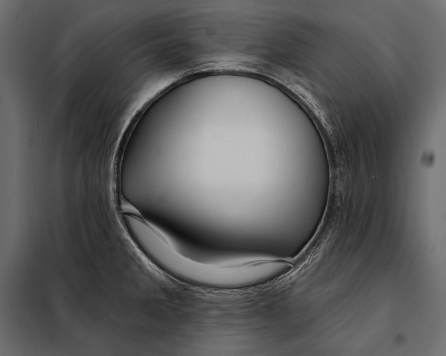 X0000098031285200804251406