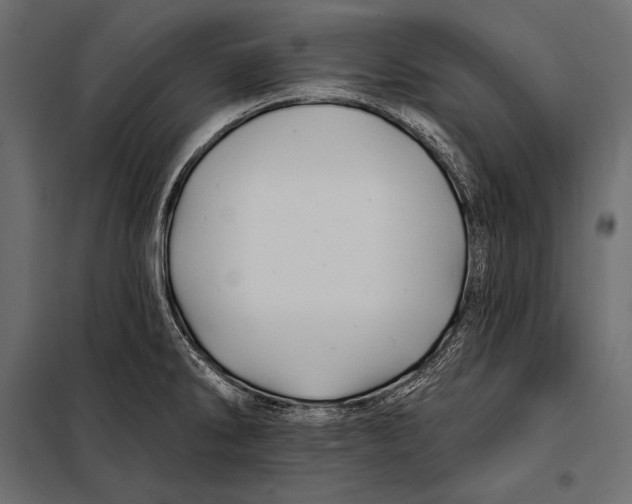 X0000098031286200804251406