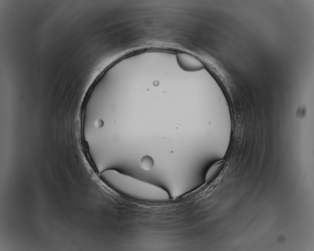 X0000098031287200804251406