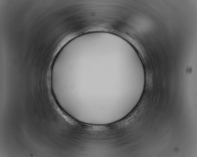 X0000098031290200804251406